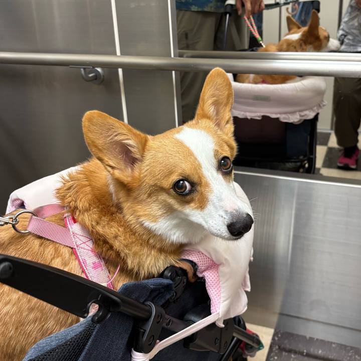 D565d7fc f434 46b8 8812 1a0388f018fa 1759630918377