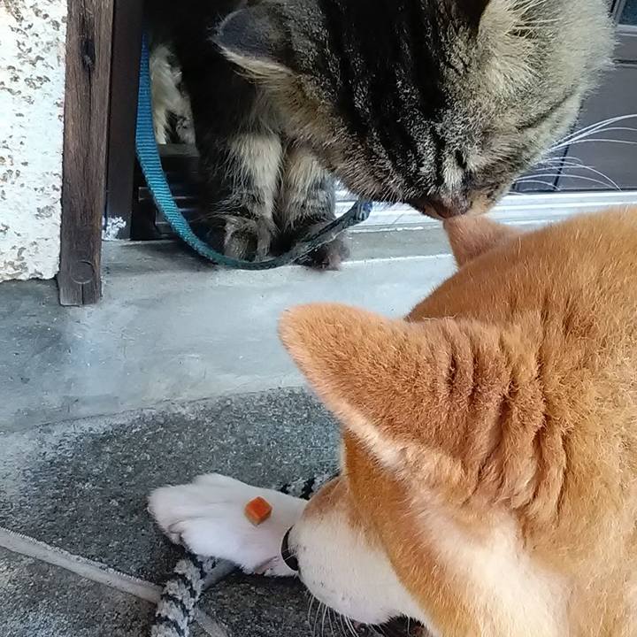 D565ecb1 3c62 4561 831d 9f7918e8a7c2 1626045812072