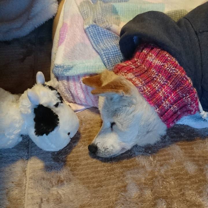 D5660ae7 b7d2 4b54 a9bc f9a90a32f20f 1515716074844