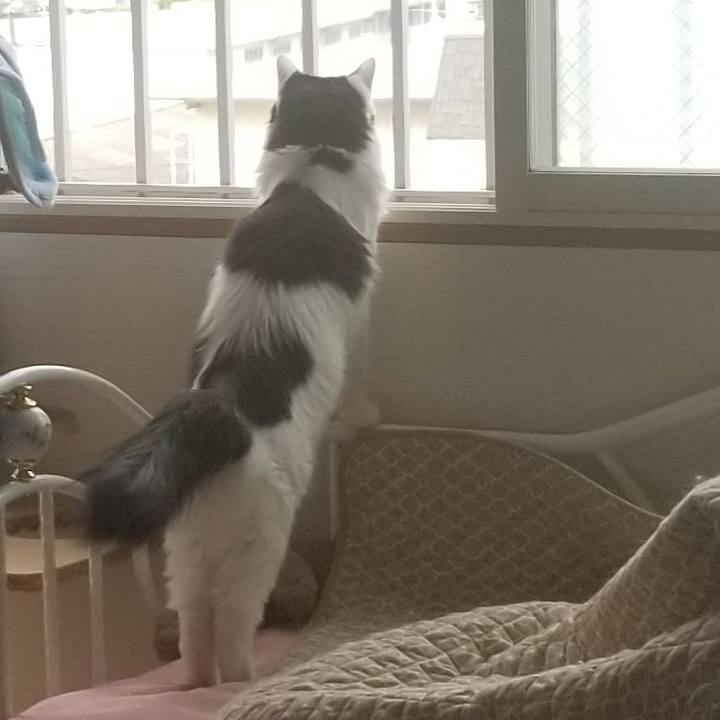 D5661f50 8bbf 42c8 88ba 0d129d2e9834 1591579989900