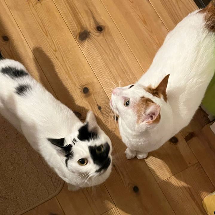 D5663151 4e63 4044 b41d d8dd2c59f8ee 1766577863678