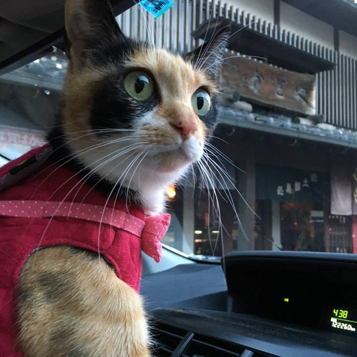 D56645b9 ea92 4973 b966 f547d9c233b3 1513512899734