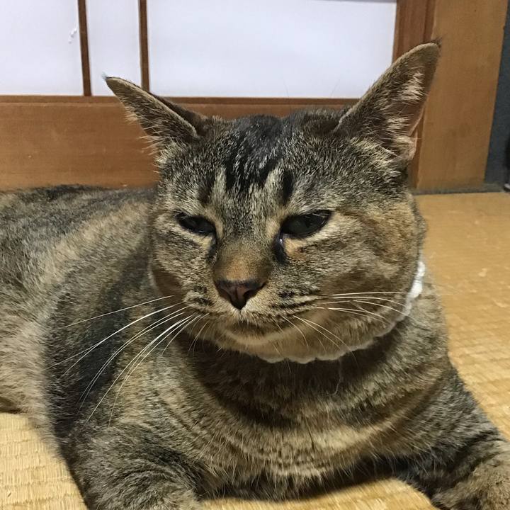 D5665419 954a 4047 a2ff 627dbd805680 1751804535003