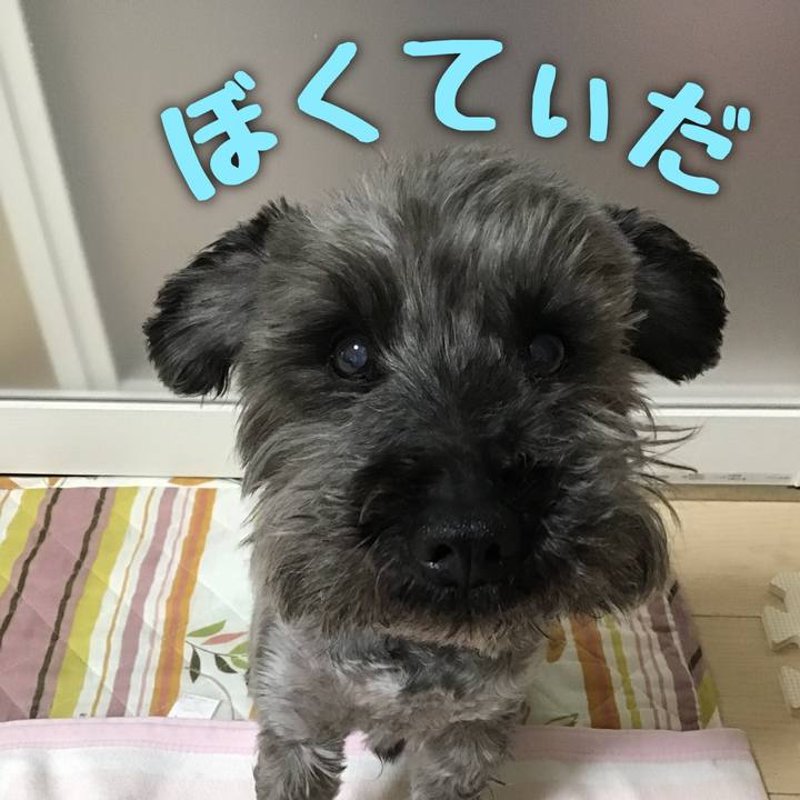 D56681a5 7361 483a bd1d 6084fc6bb0bc 1524582828799