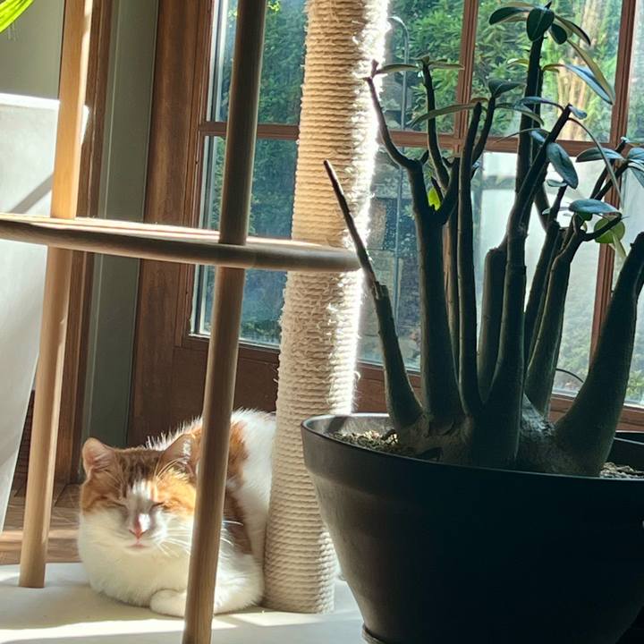 D566af8f 1d54 4c2c bfce 69c8dea31f17 1772948212011