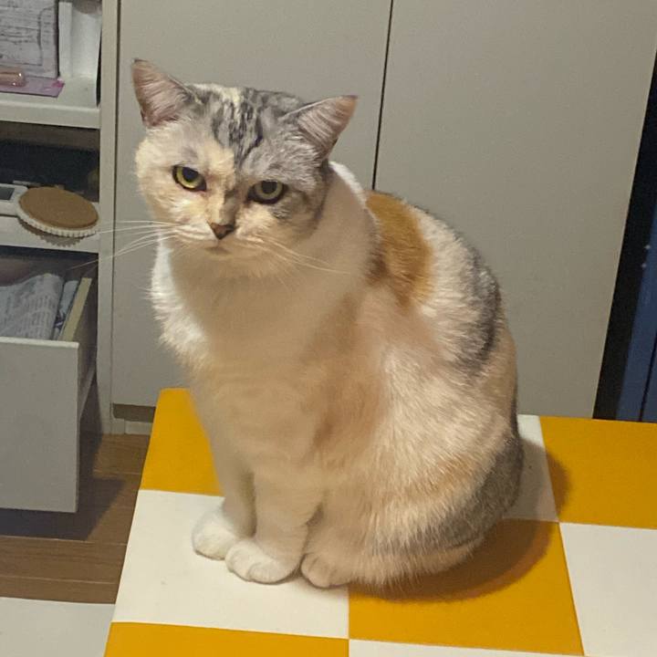 D5670990 f659 4707 b7df f232dc08df8f 1697283447512