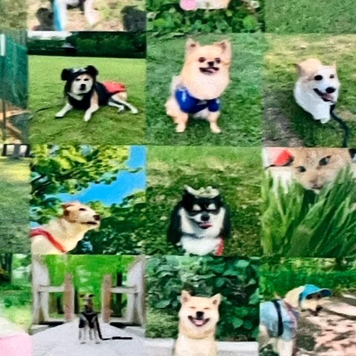 D5670d50 c474 4189 af8b 8e2fa005f353 1780577543472