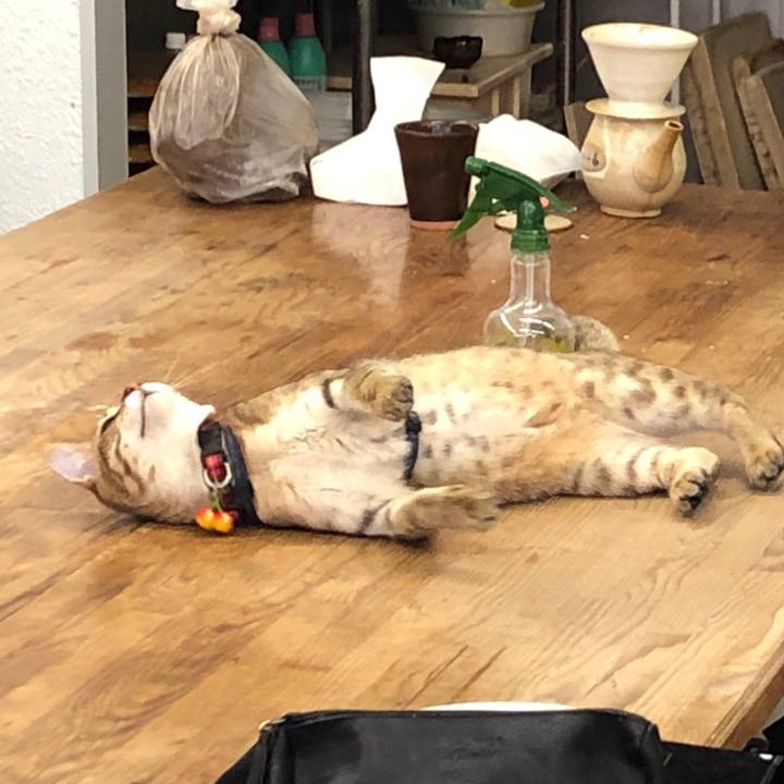 D5671394 c437 4dcb b9c4 93a6f03fc52d 1591412284675