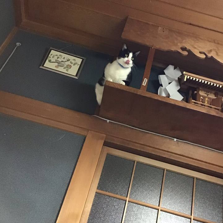 D567278b ce0c 4404 8421 90290e11e46a 1731667433739