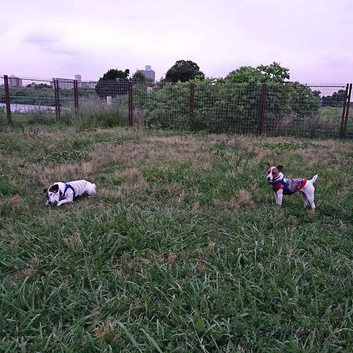 D5673756 3e55 4176 9708 fee6ef364170 1529144239060