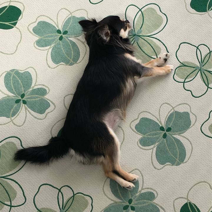 D5677c6a e878 44ca 97f2 4631a77e0fbe 1568673106113