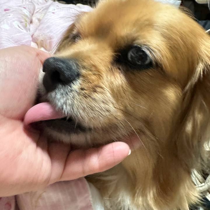 D567b59c e7d5 4848 842c 95179c62de81 1677791040570