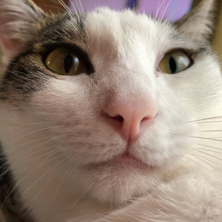 D5681ce6 9467 4136 9df9 1906879e1966 1595033725679