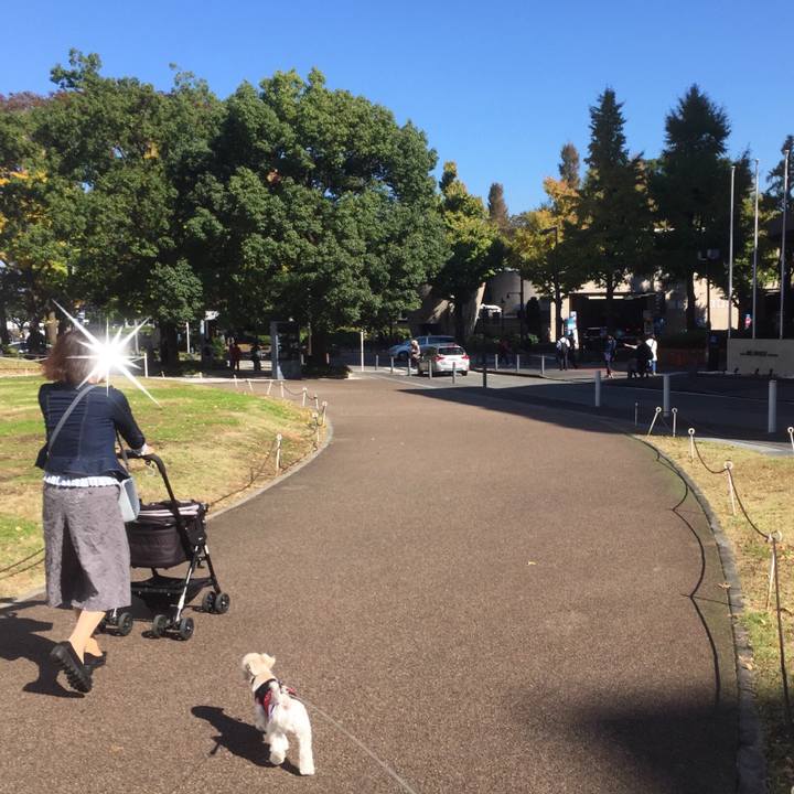 D568a530 67aa 4dc7 a7e5 054e75b4a9f3 1509717155460