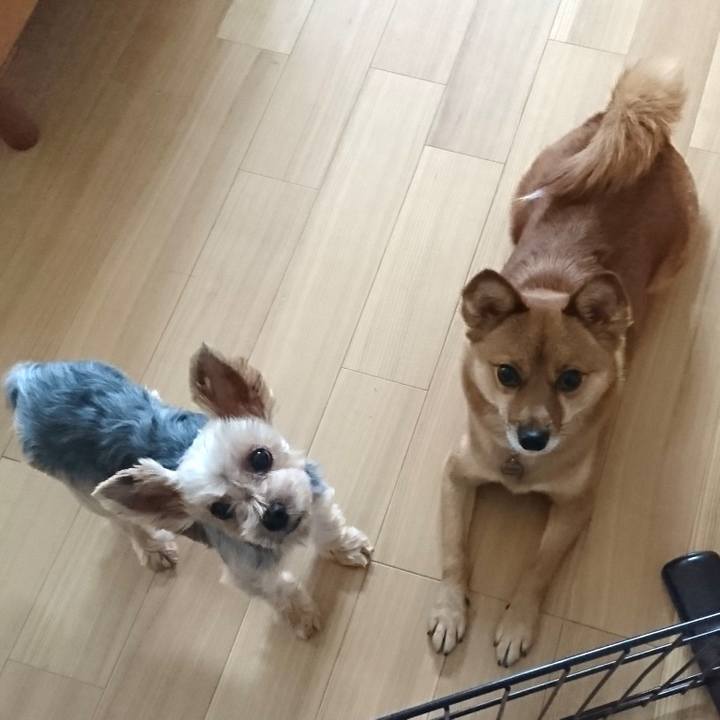 D568c0cb f754 46a9 89d6 1ffda7c88e2c 1537075762467