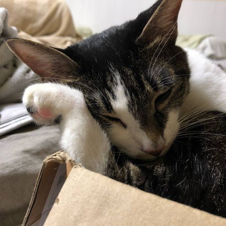 D568e34a 2e31 4a2b 9f40 d6e449bb1814 1537220841717