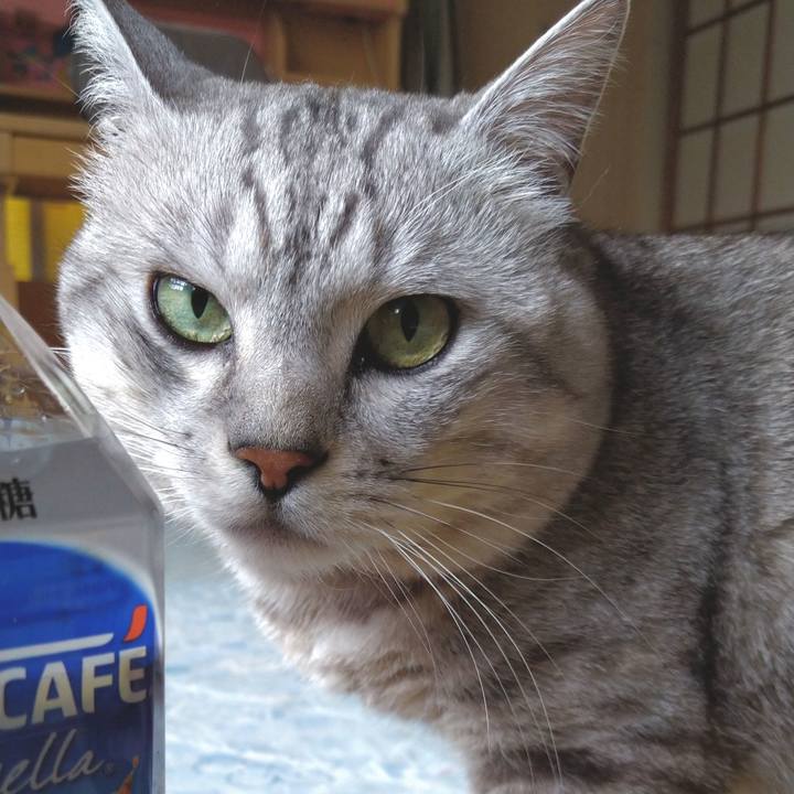 D568ecae 3957 4590 9202 1433707f73a4 1590378840620