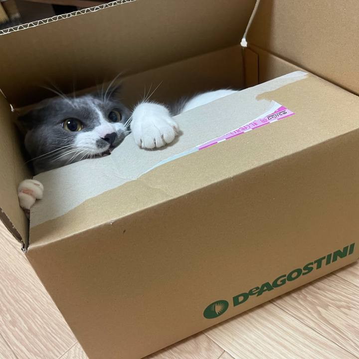 D56949d7 2c48 4ce8 9149 520b18130a61 1626599827494