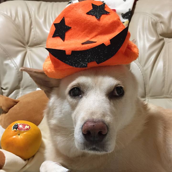 D5695301 a365 4bf2 9496 d2d7dae72d13 1509445076056