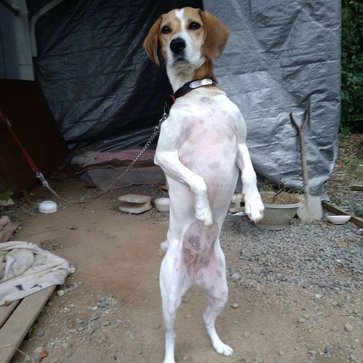 D5697573 09aa 49de 9fc1 5007f71e9f73 1638457509515