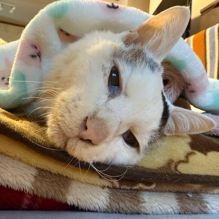 D5697d0c d064 41b2 b32e 69b2491d16fa 1771121541768