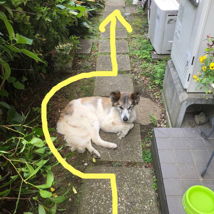 D569a305 cd93 46a8 9aab 9b904940b432 1526360594065