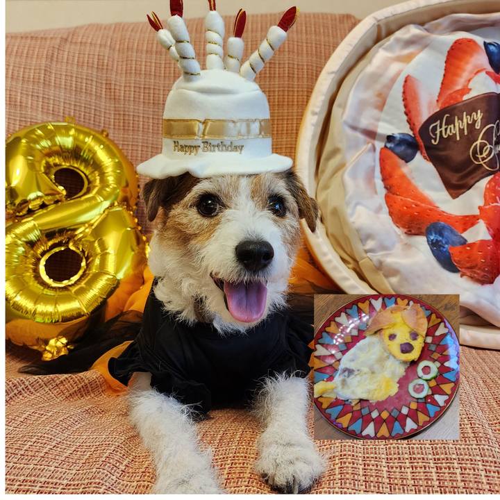 D569c26e acc9 4ed2 8435 4b2523b64f70 1730152958015