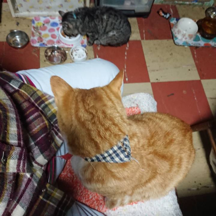 D569cfaa b229 4250 a13e 4df5b0141c00 1574820629819