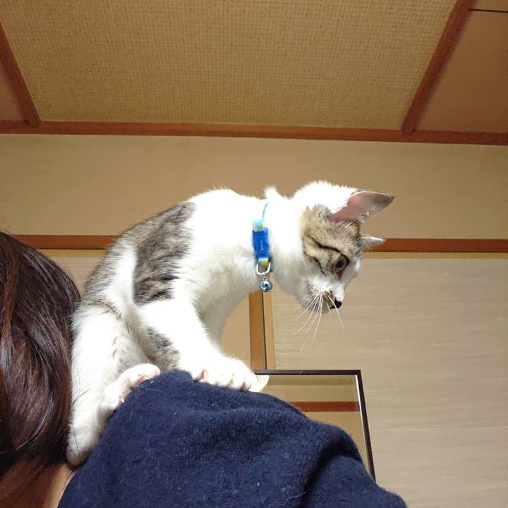 D569d800 b8f5 4776 8601 e98116ecc567 1545693858226