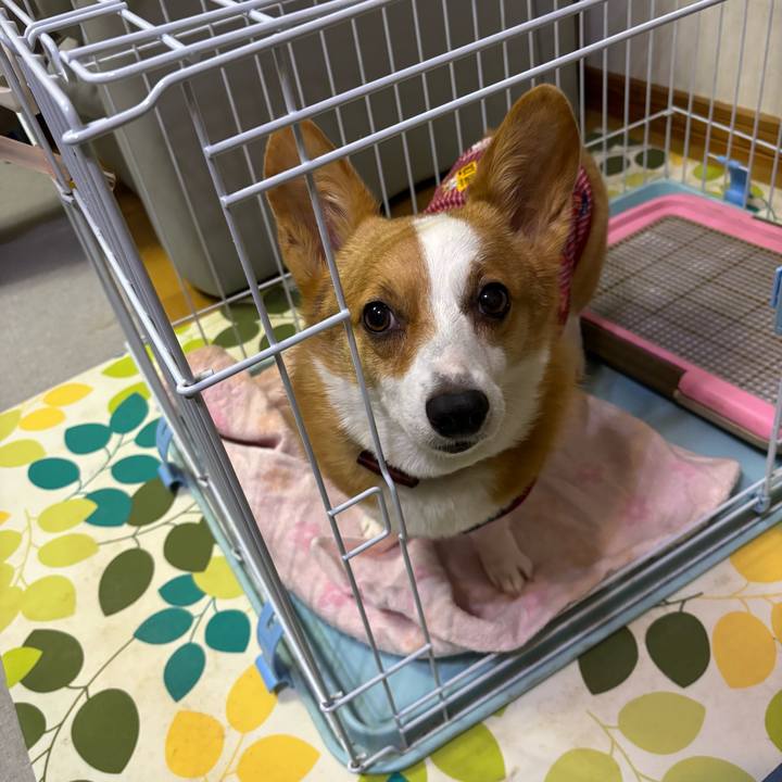 D56a0668 694f 4893 92c2 04e9980cb90f 1763029768121