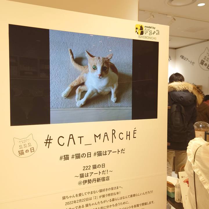 D56a140f 4552 45a9 bdf2 a9c2978a5311 1645612128556