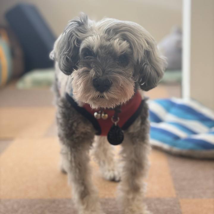 D56a1ed1 af8e 4c31 83bd bc3a254c43e8 1766240539472