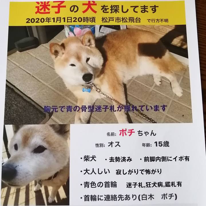 D56a522e e725 456c a436 dc2924024847 1591671861321