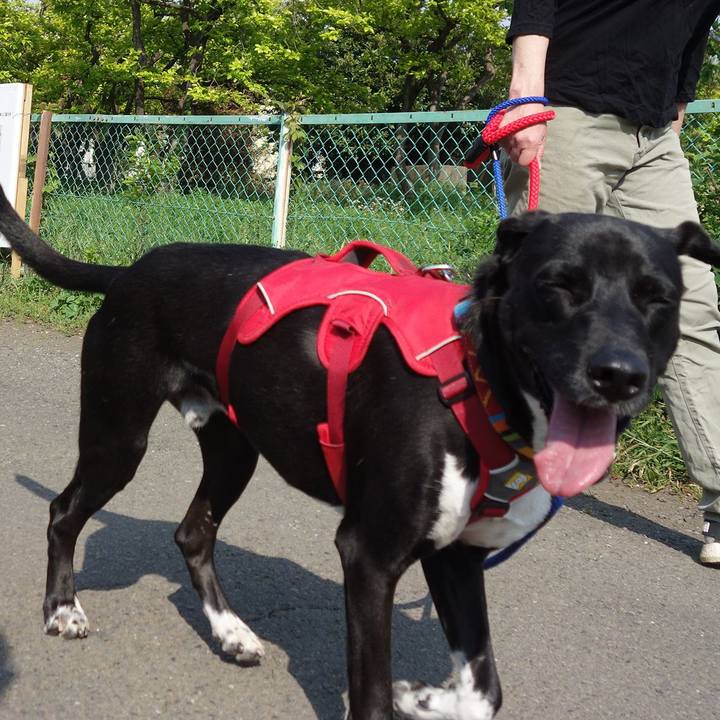 D56a738e 318c 48a9 9d42 445df147a7f3 1588468705313