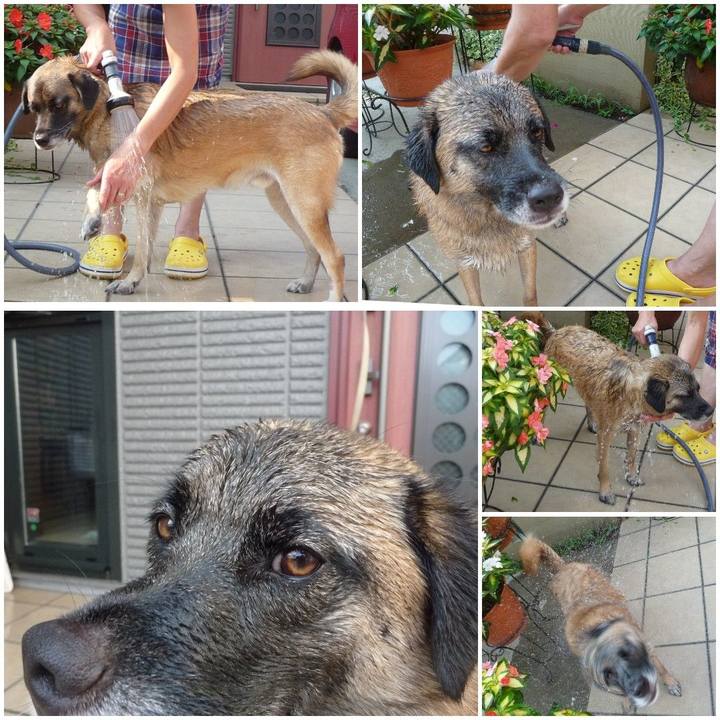 D56a8246 5c24 4d9d 901d 1bc06e23b4aa 1577061517196