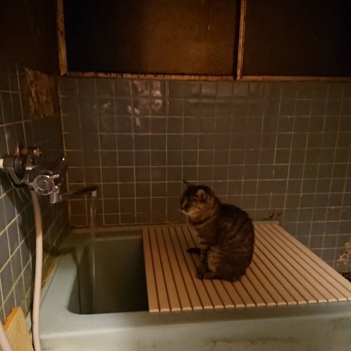 D56a89dc a3da 4b0c bc03 6f76c7403ee2 1573203423132