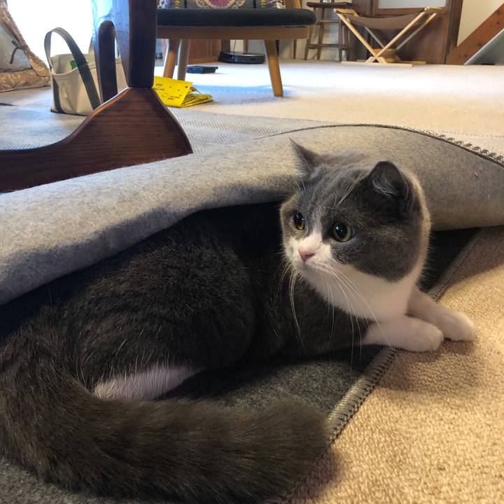 D56a9470 1d16 4216 9f5d df01e90a8b9b 1568944391015