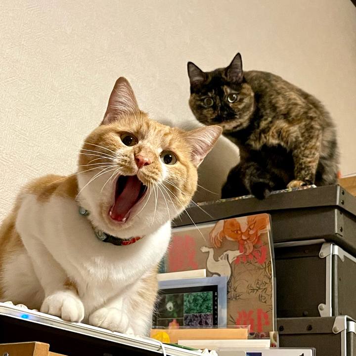 D56aa428 2985 4a57 a703 4e626afeafa9 1666177349488