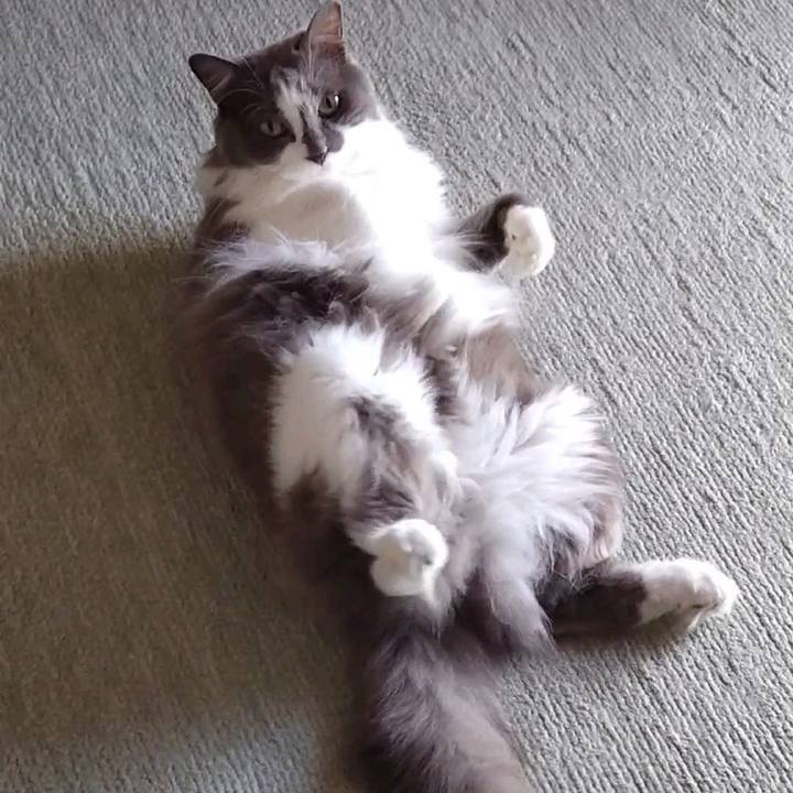 D56aaa51 6e6a 4c39 ac1f 6ab8b678c5a0 1697943577514