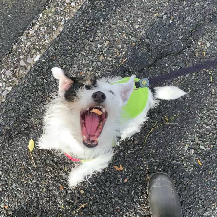 D56ad301 7d42 4f92 95eb b73d8147222e 1699316609119