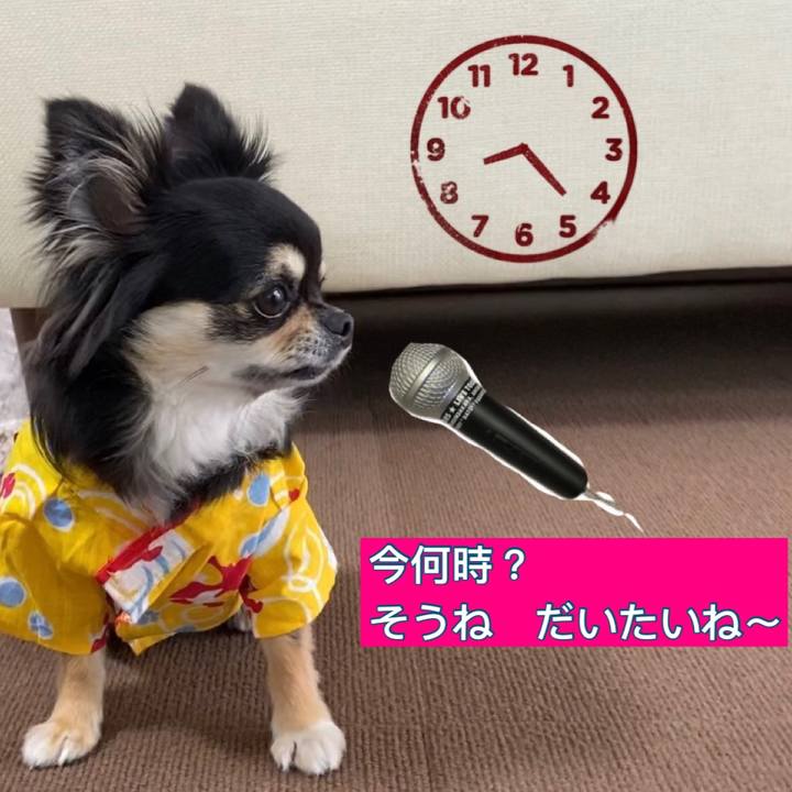 D56ad333 fcd7 4f4c 8684 c0583fcad157 1625613852582