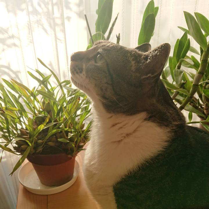 D56af1d6 b28a 456d b4d4 fa18327c86d9 1520807554368