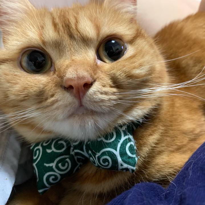 D56afa74 f960 4fa5 8b72 5446cdccb1b1 1567552921140