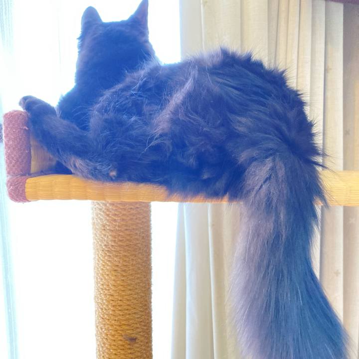 D56b31b9 497e 424e a226 7b29cc45ad51 1713405992394