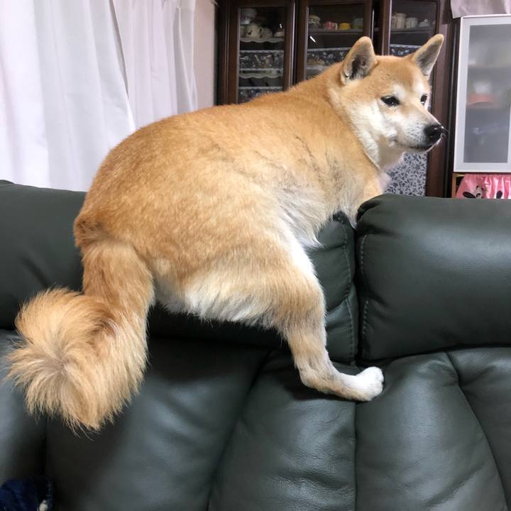 D56b4dad 8c72 47b4 b654 9bca4f54e1a0 1576802746600