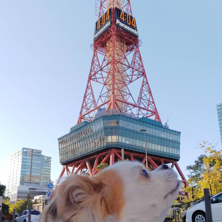 D56b552f d862 4421 b047 89b5600ddefd 1538637957185