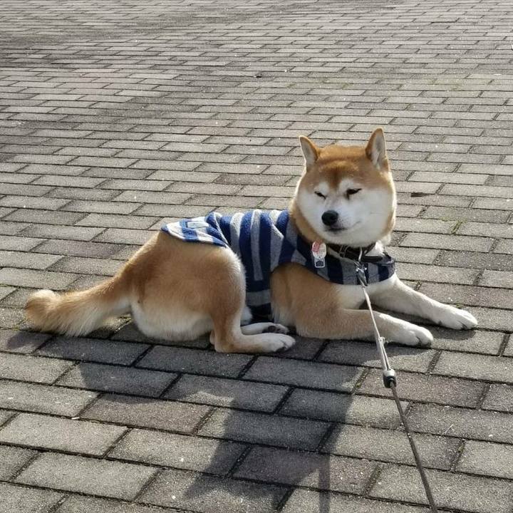 D56b647a 8fce 458d 8943 0b5fb5653871 1515815177401