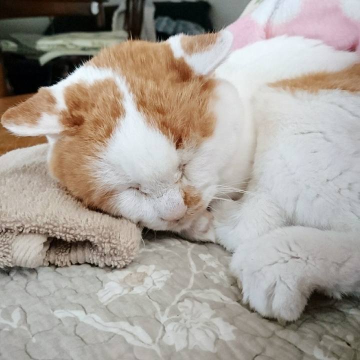 D56b76df 8b08 49b2 b7cf 1caa45cfc212 1566622886009