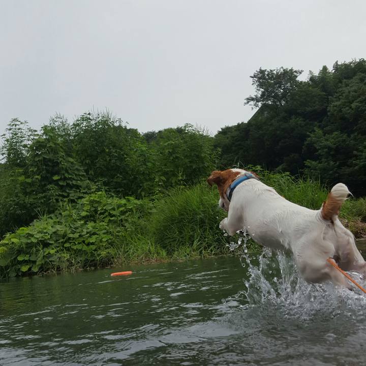 D56b7afc 0add 47ab b5d3 968ac6e00796 1566373349861