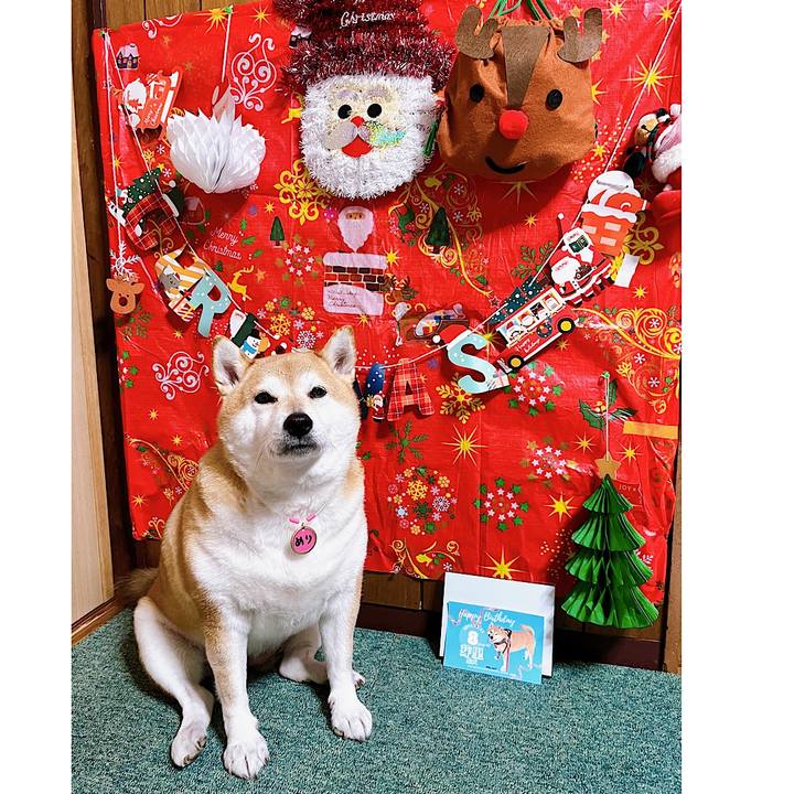 D56b9d55 6ba9 4a11 b89e 154964aa6dd1 1670322486599